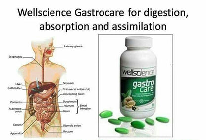 Gastro Care