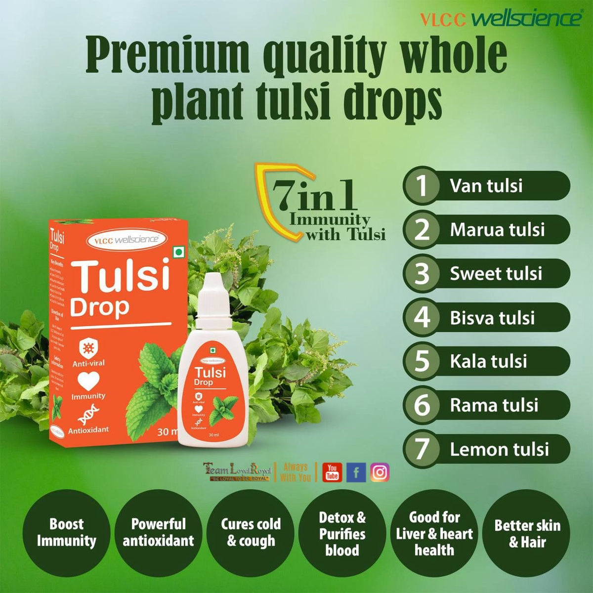 Tulsi Drop